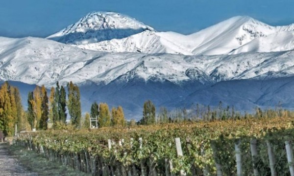 Mendoza en Verano por 7 noches