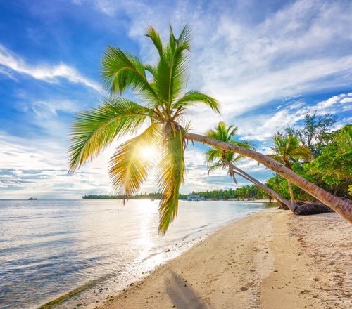 Punta Cana con All Inclusive  8  noches