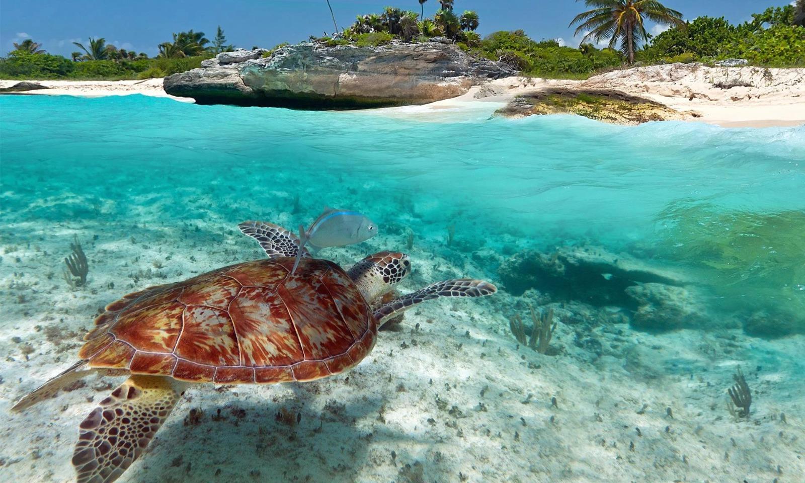 Playa del Carmen con desayuno o All Inclusive por 9 noches
