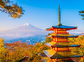COREA DEL SUR Y JAPON - Salida Grupal Acompañada - Categoría privilege